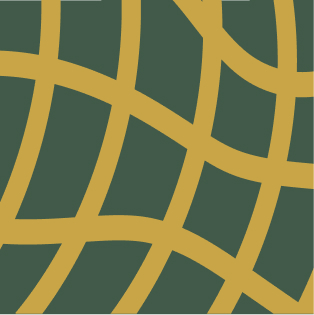 Vector illustration detail of the pattern of a peanut shell