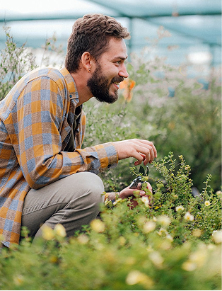 A young man at a greenhouse